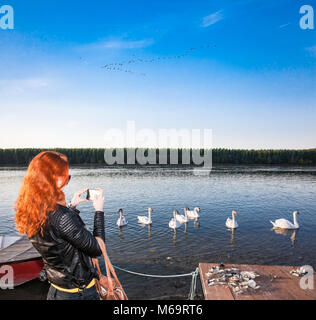 Junge Frau nimmt eine potos der Schwäne schwimmen auf der Donau bei Novi Sad, Serbien. Stockfoto