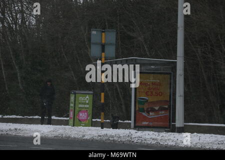 Dublin, Irland. 1. März, 2018. Bild aus Dublin, Irland unter Status Rot Schlechte Wetterbedingungen während der bis zu Sturm Emma bauen. Dublin Erfahrungen schweren Schnee und Blizzard Bedingungen während der Zeit der schlechtes Wetter. Die artic Wetter sind im Volksmund als "Tier aus dem Osten" bezeichnet. Credit: Brendan Donnelly/Alamy leben Nachrichten Stockfoto