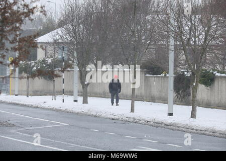 Dublin, Irland. 1. März, 2018. Bild aus Dublin, Irland unter Status Rot Schlechte Wetterbedingungen während der bis zu Sturm Emma bauen. Dublin Erfahrungen schweren Schnee und Blizzard Bedingungen während der Zeit der schlechtes Wetter. Die artic Wetter sind im Volksmund als "Tier aus dem Osten" bezeichnet. Credit: Brendan Donnelly/Alamy leben Nachrichten Stockfoto