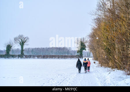 Dublin, Irland. 1 Mär, 2018. UK Wetter: Drei Frauen gehen auf Schnee mit der Tymon Park in Dublin, Irland, während der Sturm Emma. März 1st, 2018. Credit: Jose Maciel/Alamy leben Nachrichten Stockfoto