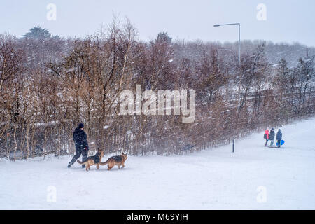 Dublin, Irland. 1 Mär, 2018. UK Wetter: Mann geht mit zwei Deutschen Schäferhunden in einem Park in Dublin, Irland, während der Schnee Sturm Emma. März 1st, 2018. Credit: Jose Maciel/Alamy leben Nachrichten Stockfoto