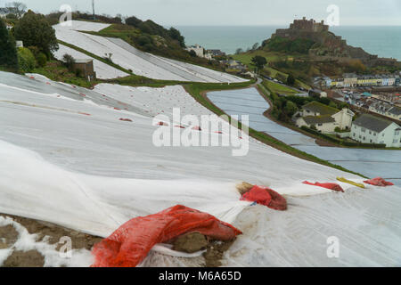 Jersey, UK. 2 Mär, 2018. UK Wetter: Aufgrund starker Regenfälle zu Beginn des Jahres und Temperaturen unter dem Gefrierpunkt die berühmte Jersey Royal Kartoffelernte ist in Gefahr, nicht in der Lage die Nachfrage an der Spitze UK Sales Zeit Anfang Mai treffen. Einige Bauern beschreiben die Saison als die schlechteste Saison seit 40 Jahren. Jetzt etwa zwei Wochen hinter sich, Sie haben extra Schichten von Fleece Material über den ersten Kunststoff-Schicht das Erntegut zu schützen. Quelle: bildergallerie 2/Alamy leben Nachrichten Stockfoto