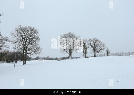 Dublin, Irland. 2 Mär, 2018. Bäume im Winter Szene aus Ballinteer, Dublin. Bild von ballinteer in Dublin, Irland unter Status Rot Schlechte Wetterbedingungen während der Sturm Emma. Irland geht in das Schloss unten als Sturm Emma zerschlägt das Land mit starker Schneefall und Schneestürme. Credit: Brendan Donnelly/Alamy leben Nachrichten Stockfoto