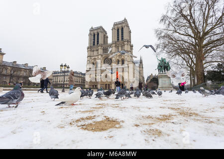 Paris unter dem Schnee 1. März 2018 Stockfoto