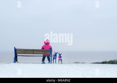 Portishead, Somerset, UK. 2. März, 2018. UK Wetter, Portishead, N. Somerset, Großbritannien Sturm Emma heute links tiefe Schneeverwehungen und eisigen Bedingungen in den Westen des Landes. Mehr Schnee ist für heute Nachmittag und eine gelbe Warnmeldung für mehr Schnee wird prognostiziert. Dieser Hund Walker nimmt eine Pause auf einer Bank in der Nähe der Küste Credit: Stephen Hyde/Alamy leben Nachrichten Stockfoto