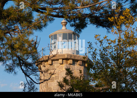 Mystic Lighthouse Tower, aus Stein ist von Pinien in Stonington, Connecticut umgeben. Der Leuchtturm ist nun als Bibliothek der Stadt verwendet. Stockfoto