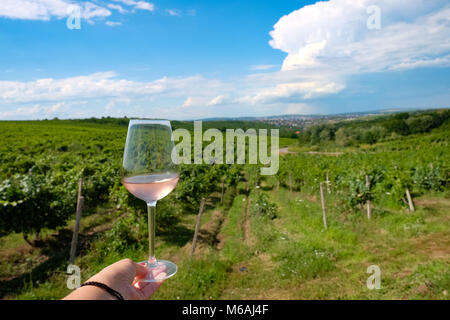 Frau mit rose Glas Wein im Weinberg Stockfoto
