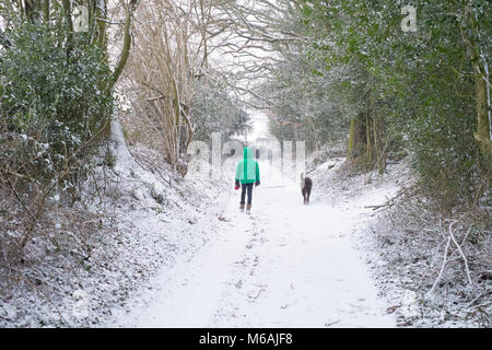 Acht Jahre alte Junge, der seinen Hund im Schnee, knapp Lane, Medstead, Alton, Hampshire, England, Vereinigtes Königreich. Stockfoto