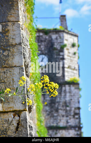 Ioannina Griechenland Stadt in der Epir (Epirus) Region Stockfoto