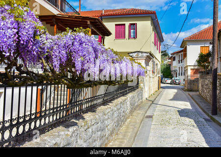 Ioannina Griechenland Stadt in der Epir (Epirus) Region Stockfoto