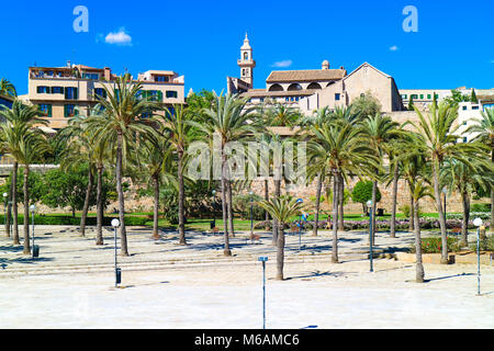 Palma de Mallorca, Spanien. Der Central Park mit Palmen im Sommer Stockfoto