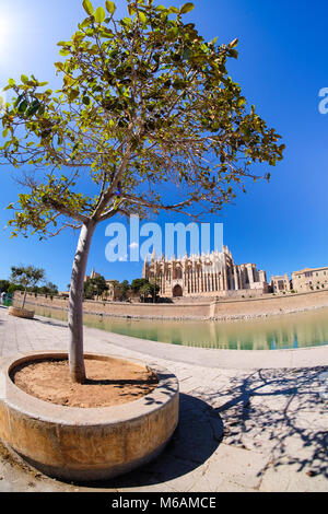 Palma de Mallorca, Spanien. La Seu - Die berühmten mittelalterlichen gotischen Kathedrale in der Hauptstadt der Insel Stockfoto