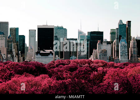 Seltene Ansicht von NYC Skyline vom Central Park in Farbe Infrarot Stockfoto