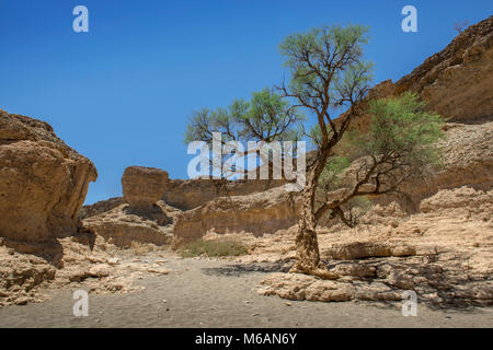 Sesriem Canyon, Hardap, Namib Naukluft Park, Namibia Stockfoto