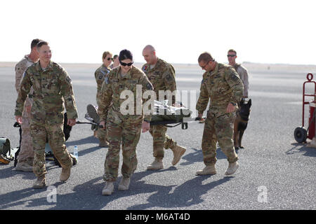 Soldaten, die den ersten Bataillon zugeordnet, im Aviation Regiment (Angriff) Praxis laden Militär Hunde auf einen Wurf mit Marines zur 1. Strafverfolgung Bataillon zugeordnet, ich Marine Expeditionary Force während der medizinischen Evakuierung Ausbildung Jan. 18, 2018 im Camp Buehring. Diese gemeinsame Ausbildung macht Flug Mediziner mit der richtigen Transport und die Triage von MWDs, verletzte Handler und Patienten, die im Einklang mit der Mission, den Betrieb der Spartaner Schild als kombinierte Kräfte Kontingenz innerhalb der Area Central Command der Verantwortung fällt. (U. S. Armee Stockfoto