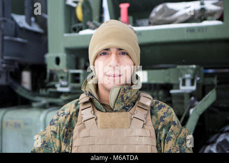 Marines sind für In der Lage sein, ihre Mission in jeder Klimazone und Ort zu erreichen. Lance Cpl. Isaac Ruiz ist ein Lubbock, Texas, native und finden Marine, die diesen Begriff prägt. Ruiz ist ein Motor transport Mechaniker mit Firma F, 4 Tank Battalion, 4th Marine Division, und beteiligt sich mit seiner Einheit in der Übung Winterpause 2018 auf Lager Äsche, Michigan, 24.02.4-17, 2018. Wenn er nicht die Durchführung von Marine Corps Ausbildung, Ruiz arbeitet als fechten Auftragnehmer für einen lokalen fechten in Jacksonville, North Carolina. Als Haupttransportmittel Mechaniker für Fox Co., 4. Tank Bn., Ruiz Stockfoto