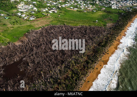 Bayamon, Puerto Rico, 13.02.2018, -- die FEMA Region VII Personal, Region VII Administrator Paul Taylor und FEMA Personal aus der Gemeinsamen Field Office erhalten Sie eine Luftaufnahme der Punta Thunfisch Feuchtgebiete Naturschutzgebiet in Northeast Harbor, Beschädigung durch den Hurrikan Maria. Die FEMA/K.C. Wilsey Stockfoto