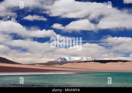 Hochland-Lagunen, Atacama-Wüste, Chile Stockfoto