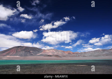 Hochland-Lagunen, Atacama-Wüste, Chile Stockfoto