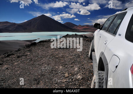 Hochland-Lagunen, Atacama-Wüste, Chile Stockfoto