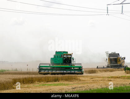 Russland, Temryuk - 01. Juli 2016: Combain sammelt auf dem Weizen. Landwirtschaftliche Maschinen im Feld. Getreideernte. Stockfoto