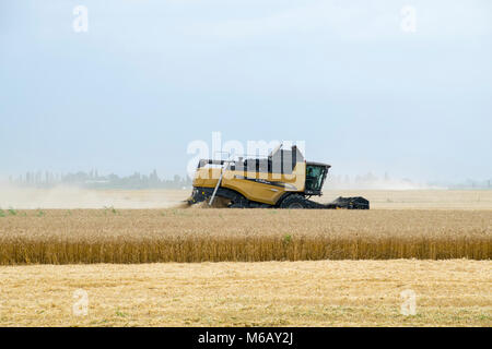 Russland, Temryuk - 01. Juli 2016: Combain sammelt auf dem Weizen. Landwirtschaftliche Maschinen im Feld. Getreideernte. Stockfoto