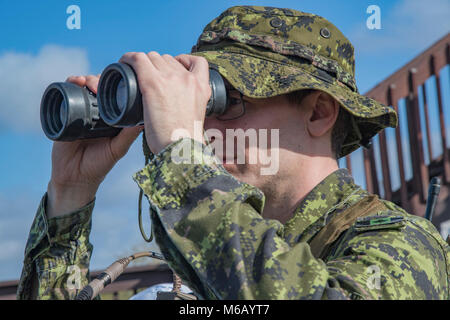 Kanadische Royal Air Force Warrant Officer Macintyre, gemeinsame Endgerät angreifen Controller, analysiert die simulierte Schlachtfeld während der kombinierten Training, Februar 21, 2018, bei Moody Air Force Base, Ga verbündeten Kräfte von der Craf und Neuseeland Armee reiste nach Moody AFB mit der 75Th Fighter Squadron auf Close Air Support von Feb.20-23 zu trainieren. (U.S. Air Force Stockfoto