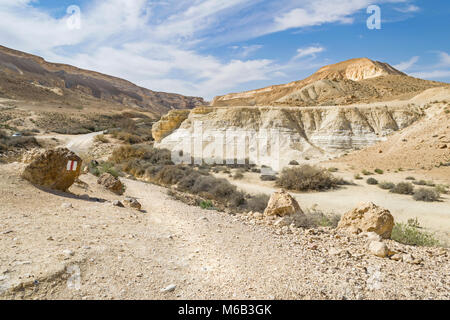 Die Straße nach Avdat Frühling im Wadi Zin im Negev Hochland von Israel Stockfoto