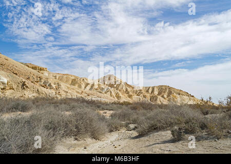 Wüste Bergen und Vegetation im Wadi Zin im Hochland in der Nähe von Sde Boker Negev, Israel Stockfoto