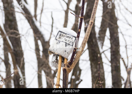 Eine Packung Zigaretten in einem trockenen Winter Forest demonstriert die Verschmutzung der Natur, und die Inschrift in der Russischen Sprache Rauchen tötet bedeutet Schaden Stockfoto