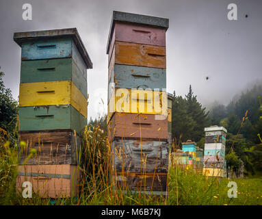 Vintage Holz- Bienenstöcke in verschiedenen Farben in Bergig Landschaft mit Bienen um Schwärmen Stockfoto
