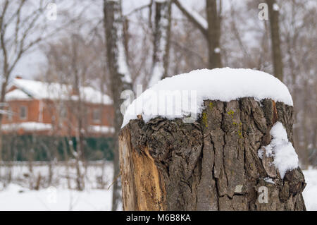 Jetzt auf einer hölzernen Stumpf. Winter Willkommen Stockfoto