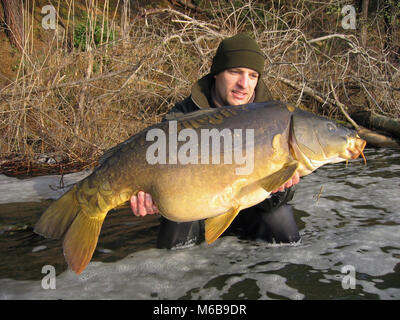 Karpfen angeln. Fang von Fischen. Fischer Holding einen großen Spiegel Karpfen. Stockfoto