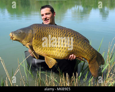 Karpfen angeln, Fischfang, Lucky Fisherman Holding eine massive Karpfen Stockfoto