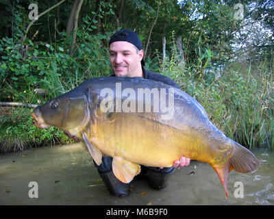 Karpfen angeln. Fang von Fischen. Fischer Holding einen großen Spiegel Karpfen. Stockfoto