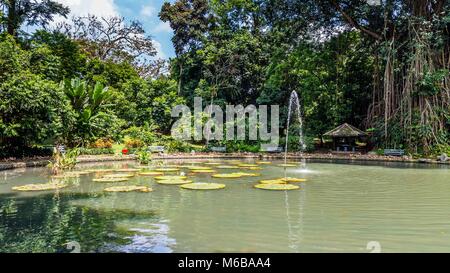 Botanische Gärten Kebun Raya in Bogor, West Java, Indonesien Stockfoto