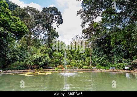 Botanische Gärten Kebun Raya in Bogor, West Java, Indonesien Stockfoto