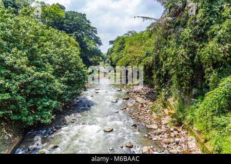 Botanische Gärten Kebun Raya in Bogor, West Java, Indonesien Stockfoto