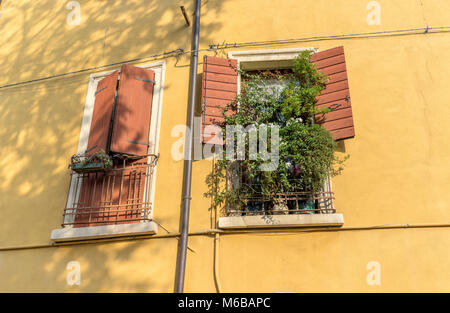 Zwei Fenster mit offenen und geschlossenen Fensterläden und grünen Pflanzen auf der Fensterbank Stockfoto