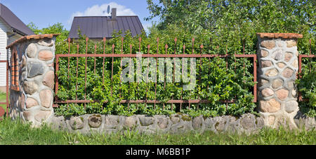 Fragment des Dorfes Zaun. Der ganze Granit Steine und Gitterrost. Mai Tag Panoramablick auf die Landschaft Stockfoto