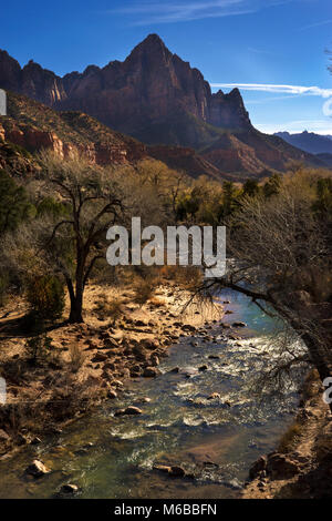 North Fork Virgin River, der Wächter Berg Zion National Park, Springdale, Utah, USA Stockfoto