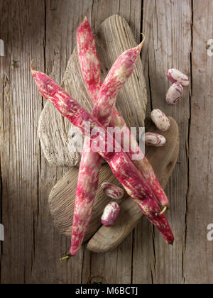 Frisch gepflückt Borlotti Bohnen auch bekannt als die Cranberry Bohne oder römische Bohne Stockfoto