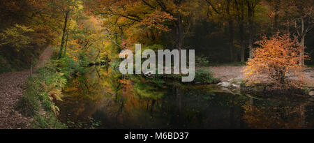 Herbst am Fluss Teign Das fingle Brücke Teign Schlucht Drewsteignton Stockfoto