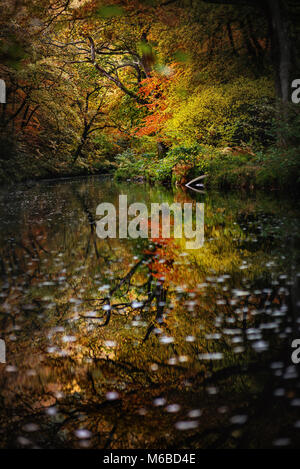 Herbst Reflexionen über den Fluss Teign Dartmoor National Park Stockfoto