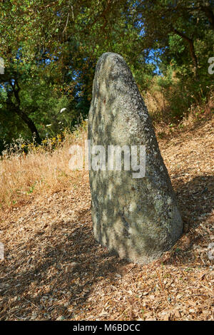 Fotos & Bilder von prähistorischen Kupfer alter Proto anthropomorphen Standing Stone statue Menhire in der biru' e Concas archaeolological Ort, Sorgono, Stockfoto
