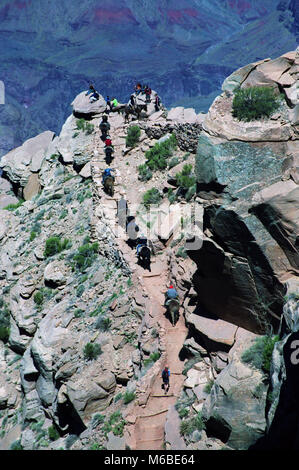 Wanderer Schritt aus der Art und Weise wie Maultiere Besucher Durchführen des Grand Canyons auf der South Kaibab Trail. Stockfoto