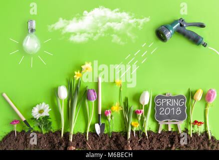 Spring Flower Bed Garten mit Wolken, Glühbirne wie die Sonne, und Schlauch mit einer Skizze von Wasser gesprüht wird, Stockfoto