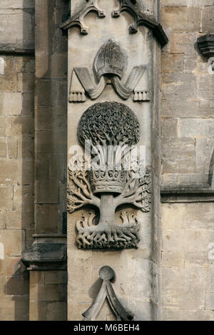 Ein Steinmetz auf der Westseite der Abtei von Bath, Badewanne. Das Schnitzen ist ein Rebus, die die Namen von Bischof Oliver König. Stockfoto