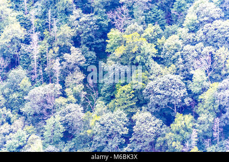 Ausblick bei einer Wanderung an der Kaaterskill wilden Wald in Upstate NY Stockfoto