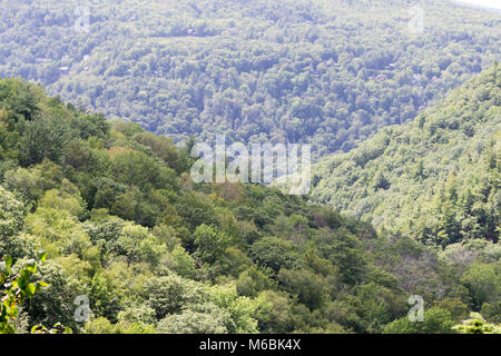 Ausblick bei einer Wanderung an der Kaaterskill wilden Wald in Upstate NY Stockfoto